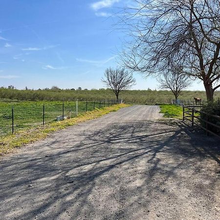 Adorable 1 Bedroom With Pool, And Horse Arena Oakdale Extérieur photo